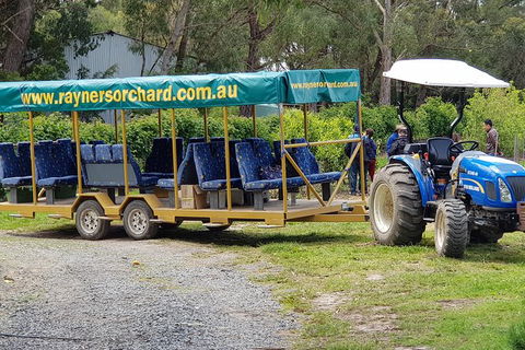Day Tour Of Yarra Valley Puffing Billy And Rayners Orchard - Accommodation Cooktown 48