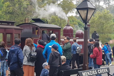 Day Tour Of Yarra Valley Puffing Billy And Rayners Orchard - Accommodation Cooktown 40