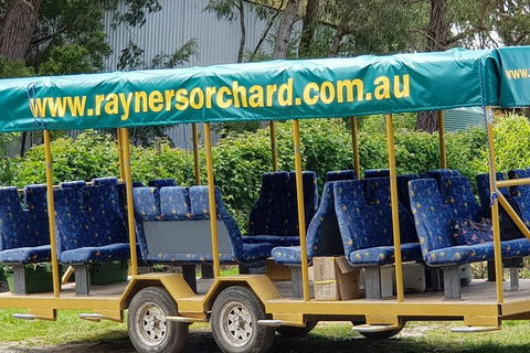 Day Tour Of Yarra Valley Puffing Billy And Rayners Orchard - Accommodation Cooktown 33