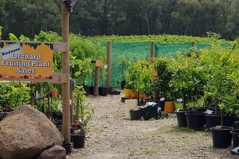 Day Tour Of Yarra Valley Puffing Billy And Rayners Orchard - Accommodation Cooktown 22