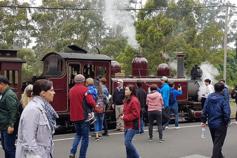 Day Tour Of Yarra Valley Puffing Billy And Rayners Orchard - Accommodation Cooktown 4