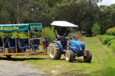 Day Tour Of Yarra Valley Puffing Billy And Rayners Orchard - Accommodation Cooktown 25