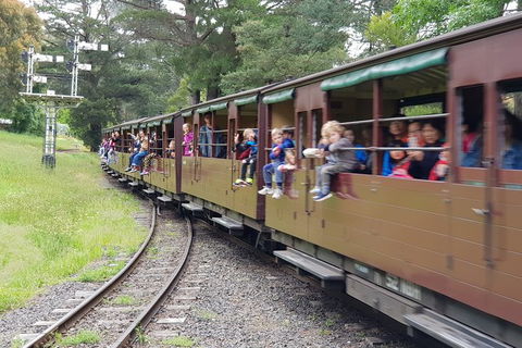 Day Tour Of Yarra Valley Puffing Billy And Rayners Orchard - Accommodation Cooktown 24