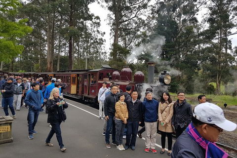 Day Tour Of Yarra Valley Puffing Billy And Rayners Orchard - Accommodation Cooktown 9