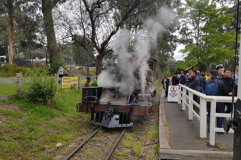 Day Tour Of Yarra Valley Puffing Billy And Rayners Orchard - Accommodation Cooktown 43