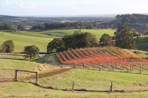 Ferguson Valley Full Day Tour - Accommodation Cooktown 0