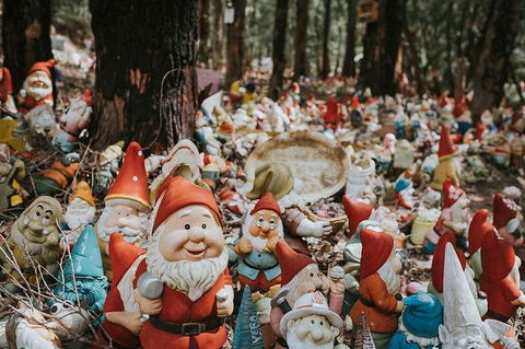 Ferguson Valley Full Day Tour - Accommodation Cooktown 7