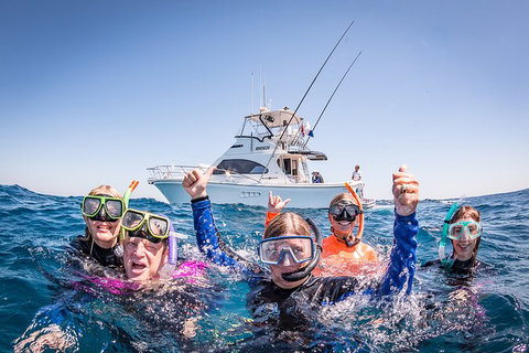 Life On Ningaloo Swimming Tour In Exmouth - Accommodation Cooktown 4