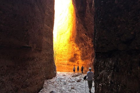 2 Nights At Bungles Wilderness Lodge - Explore The Northern & Southern Gorge - Accommodation Cooktown 8