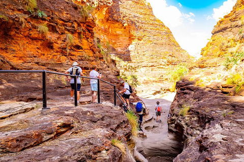 2 Nights At Bungles Wilderness Lodge - Explore The Northern & Southern Gorge - Accommodation Cooktown 6