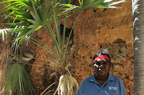 2 Nights At Bungles Wilderness Lodge - Explore The Northern & Southern Gorge - Accommodation Cooktown 1