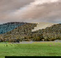 Baldwins Bluff Guided Hike - Accommodation Cooktown