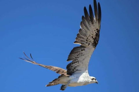 Romance Aircraft Flight + Scenic Tour + 3 Course Lunch + Beer Tasting + Hamper - Accommodation Cooktown 4