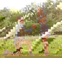 Romance Cruise  scenic Tour  beer tasting  3 course lunch  hamper - Accommodation Cooktown