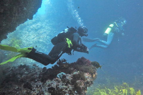 PADI Open Water Course - Accommodation Cooktown 2