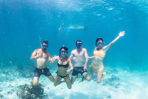 Full-Day Whale Sharks Swimming Experience On Ningaloo Reef - Accommodation Cooktown 5