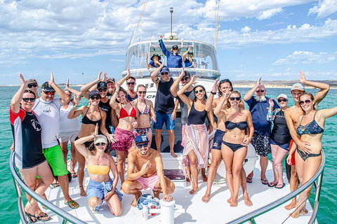 Full-Day Whale Sharks Swimming Experience On Ningaloo Reef - Accommodation Cooktown 1