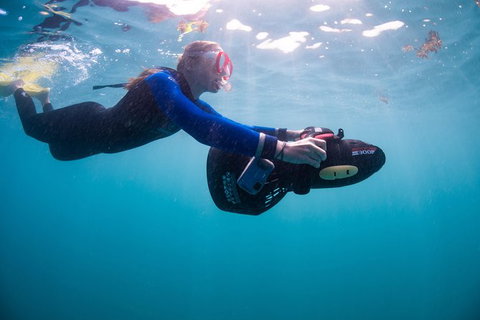 Full-Day Whale Sharks Swimming Experience On Ningaloo Reef - Accommodation Cooktown 4