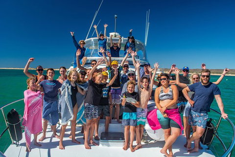 Full-Day Whale Sharks Swimming Experience On Ningaloo Reef - Accommodation Cooktown 15