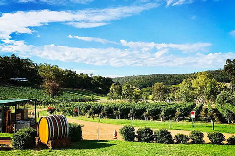 Bickley Valley Wine & Cider Tour - Premium Small Group Tour - Accommodation Cooktown 0