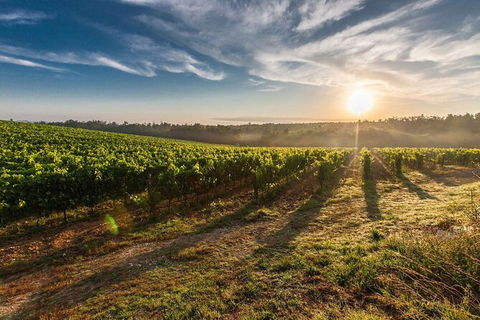 Perth To Margaret River Wine Tour - 2 Day Premium Boutique Wine Tour Experience - Accommodation Cooktown 0