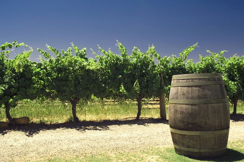 Pinnacles Desert Private Tour - Accommodation Cooktown 4