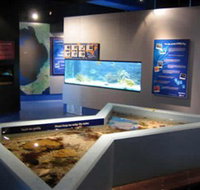 Marine and Freshwater Discovery Centre - Accommodation Cooktown