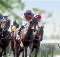 Colac Turf Club - Accommodation Cooktown