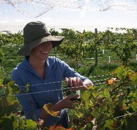 Kingsdale Wines - Accommodation Cooktown