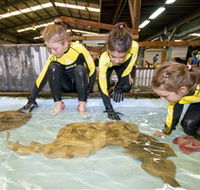 Australian Shark and Ray Centre - Accommodation Cooktown