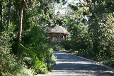 Royal Botanic Gardens Victoria - Accommodation Cooktown 0