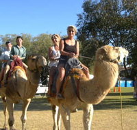 Calamunnda Camel Farm - Accommodation Cooktown