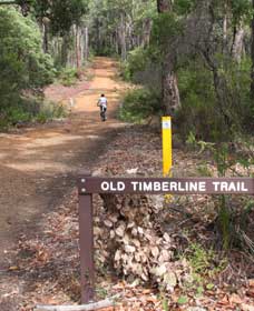 Old Timberline And Sidings Rail Trails - Accommodation Cooktown 0