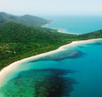 Jungle Tours and Trekking - Accommodation Cooktown