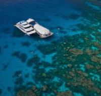 Great Adventures Reef and Green Island Cruises - Accommodation Cooktown