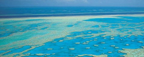 Aristocat Snorkel And Scuba Port Douglas - Accommodation Cooktown 3