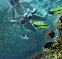 Calypso Reef Charters