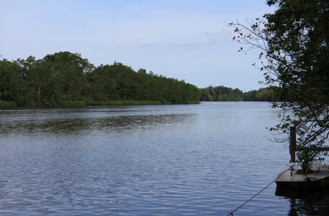 Daintree River Cruise Centre - Accommodation Cooktown 2