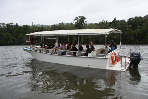 Daintree River Cruise Centre - Accommodation Cooktown 3