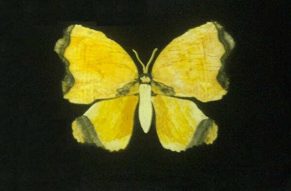 Ashworths - Accommodation Cooktown