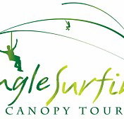 Jungle Surfing Canopy Tours and Jungle Adventures Nightwalks - Accommodation Cooktown