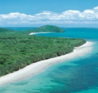 Reef and Rainforest Connections
