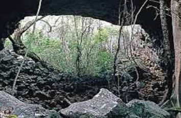 Undara Experience - Accommodation Cooktown 2