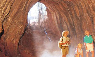 Undara Experience - Accommodation Cooktown 3