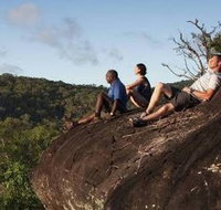 Cooktown Aboriginal Art Tours - Accommodation Cooktown