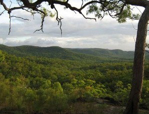 Cooktown Aboriginal Art Tours - Accommodation Cooktown 1
