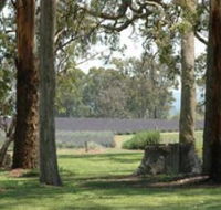 Aloomba Lavender - Accommodation Cooktown