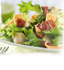 Allenby Gardens SA Accommodation Cooktown