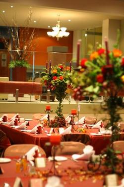 Forest Inn Hotel - Accommodation Cooktown 0