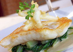 Bell's Hotel & Brewery - Accommodation Cooktown 1